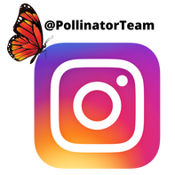 Instagram logo with butterfly. Text reads @PollinatorTeam
