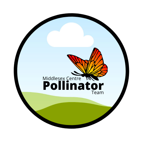Middlesex Pollinator Team logo with a digital graphic of a Monarch butterfly, blue sky, white cloud and green landscape.